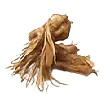 Red Ginseng